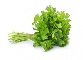Persil plat